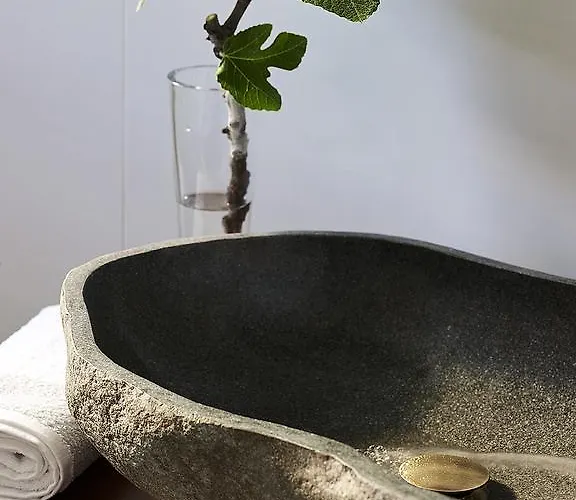 Vipera * Triovasálos